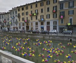 I Navigli di Milano invasi da centinaia di rane in plastica di tutti i colori 