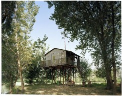 Circondata dal verde si erge una casa in legno su palafitte - foto 8