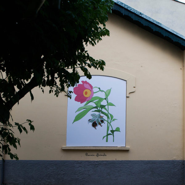 Massimo Dalla Pola, “A poison tree”, mostra “Giorni Felici”, Casa Testori