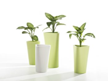 vasi e accessori di design per piante il vaso Eve di B - Line nei colori bianco e verde