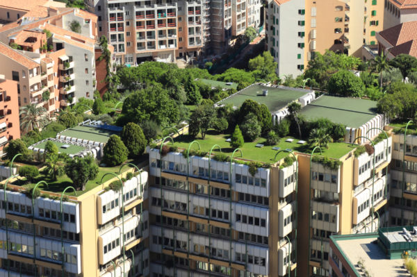 bonus verde incentivi per tetti verdi terrazze balconi