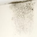 umidità in casa una parete con umidità a partire dal soffitto