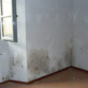 umidità in casa una parete con umidità risalente dal basso
