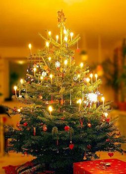 albero addobbi natalizi sicurezza per casa e persone