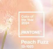 Pantone Color Institute 2024 Peach Fuzz