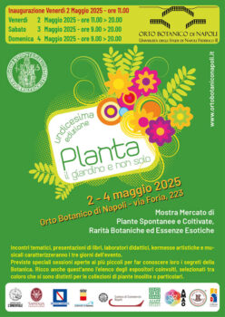 Planta Fiera dei Fiori Napoli 25